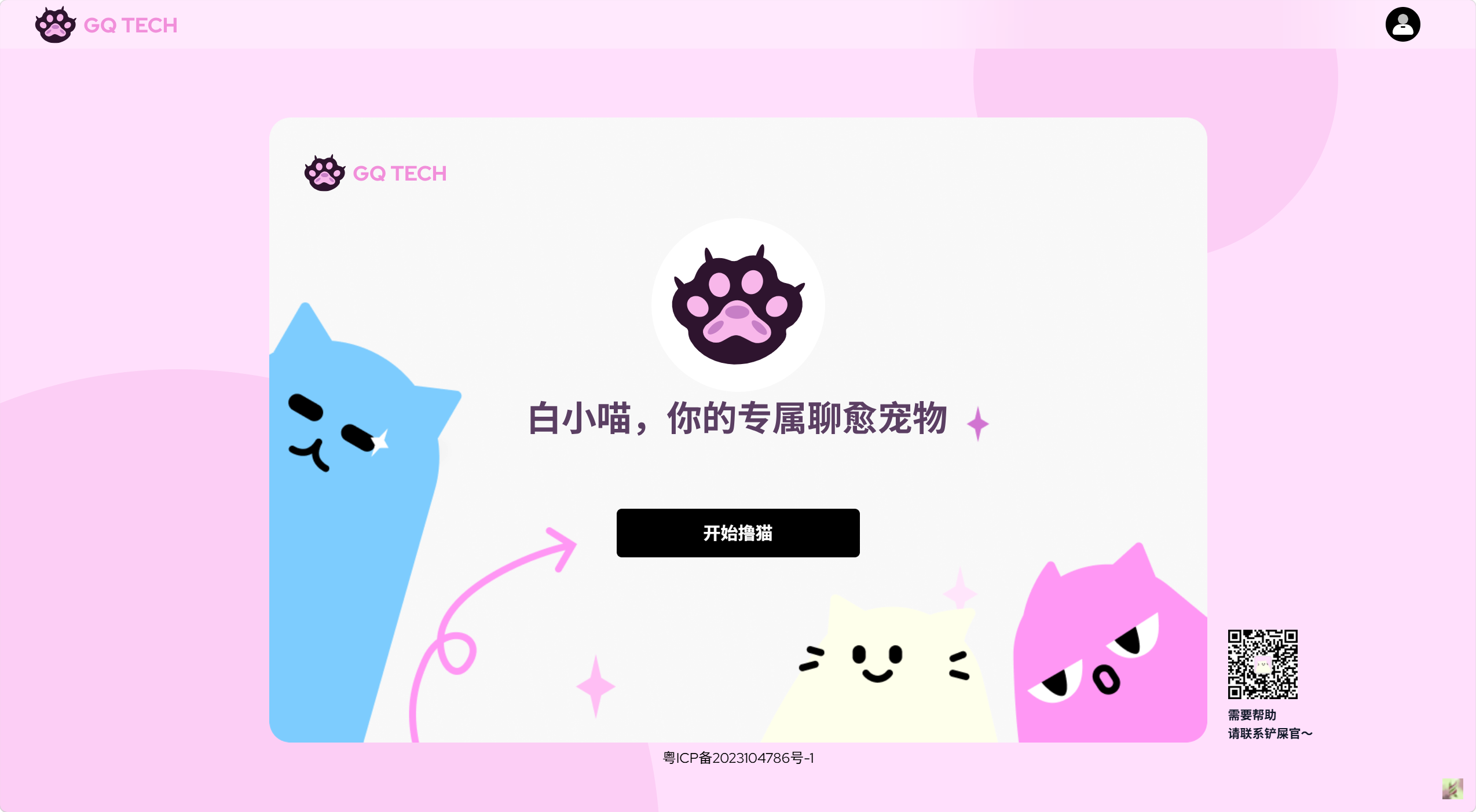白小喵